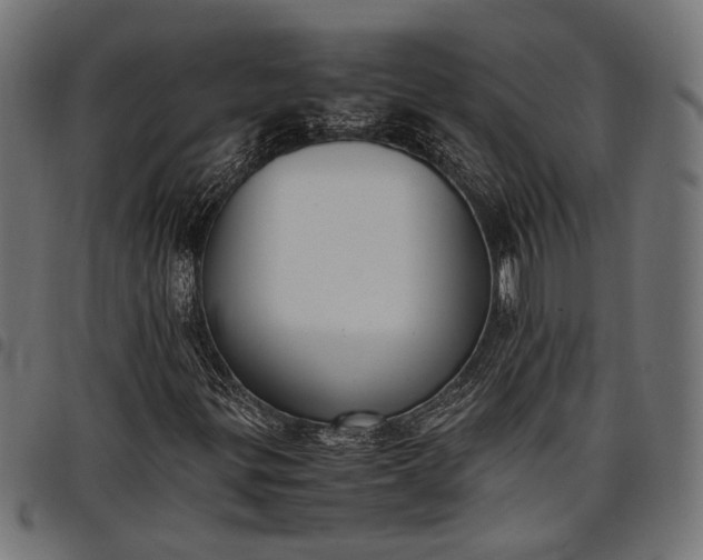 X0000097881299200803281215