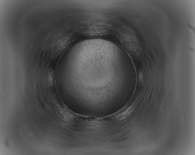 X0000097881300200803281215