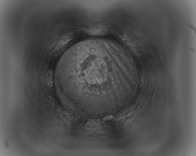 X0000097881301200803281215