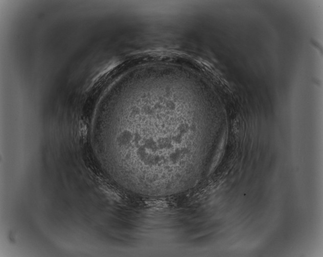 X0000097881302200803281215