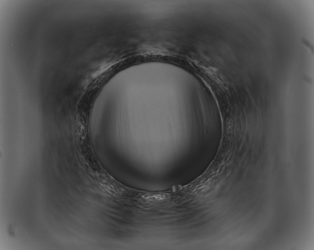 X0000097881303200803281215