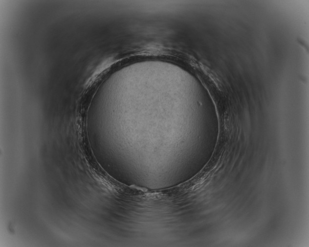 X0000097881304200803281215