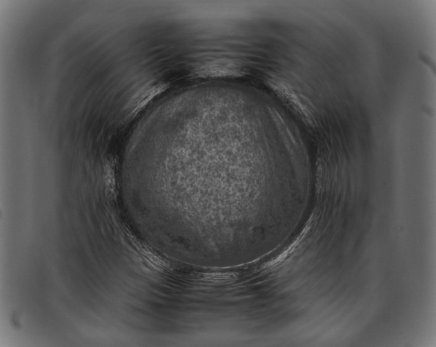 X0000097881305200803281215