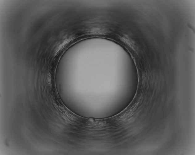 X0000097881307200803281215