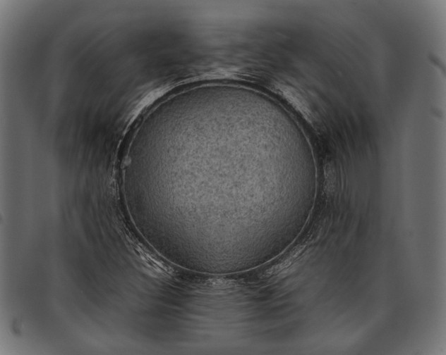 X0000097881308200803281215