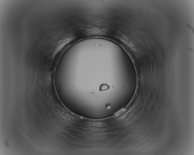 X0000097881309200803281215