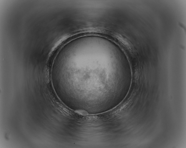 X0000097881310200803281215