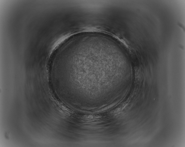 X0000097881311200803281215