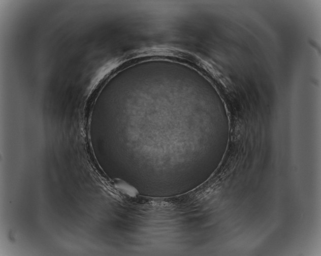 X0000097881312200803281215