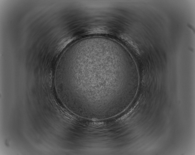 X0000097881313200803281215