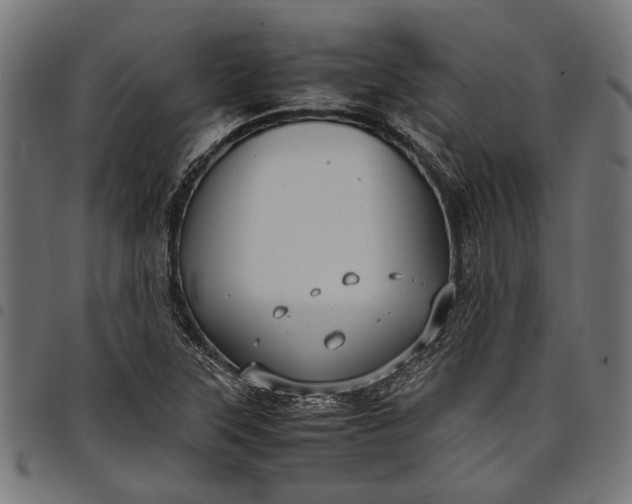 X0000097881315200803281215