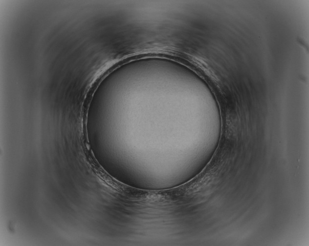 X0000097881316200803281215