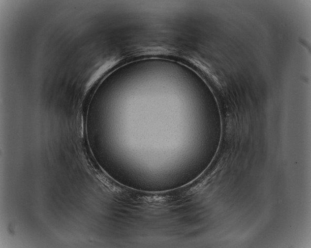 X0000097881317200803281215