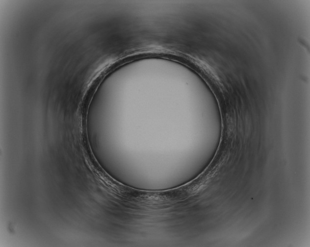 X0000097881318200803281215