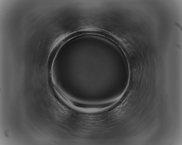 X0000097881319200803281215