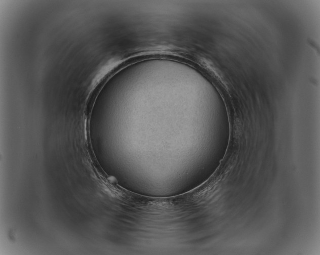 X0000097881320200803281215