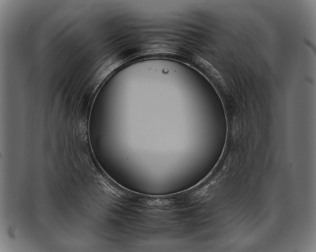 X0000097881321200803281215