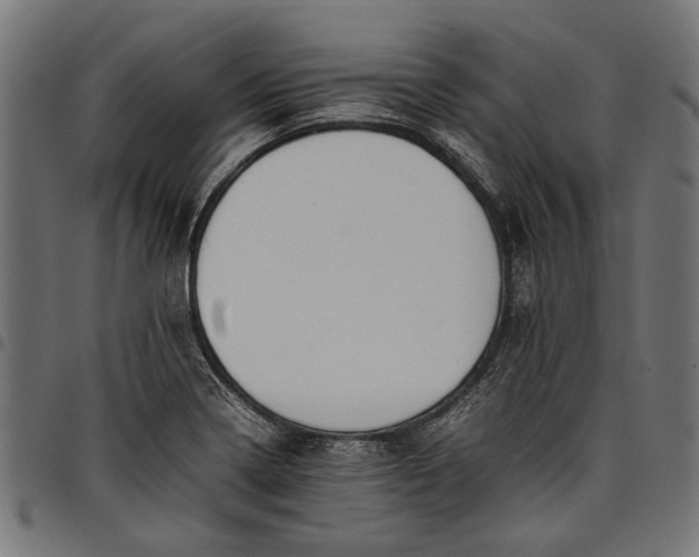 X0000097881322200803281215