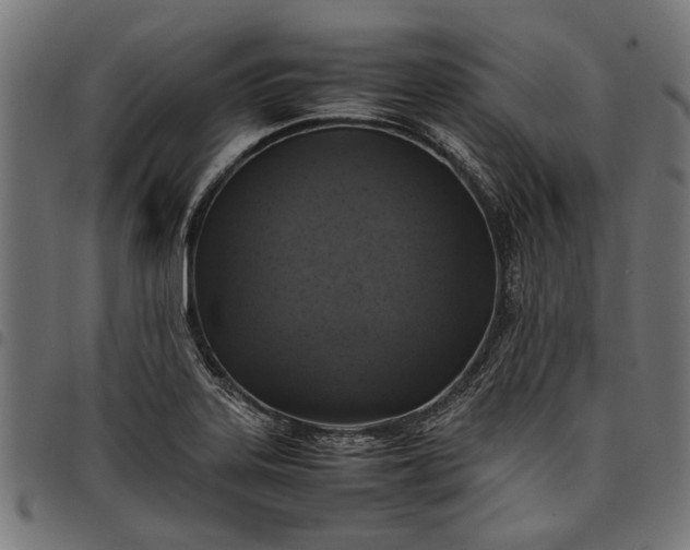 X0000097881323200803281215