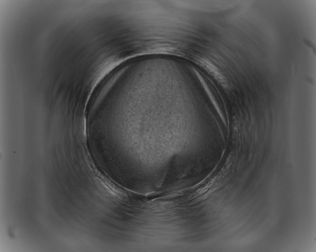 X0000097881324200803281215