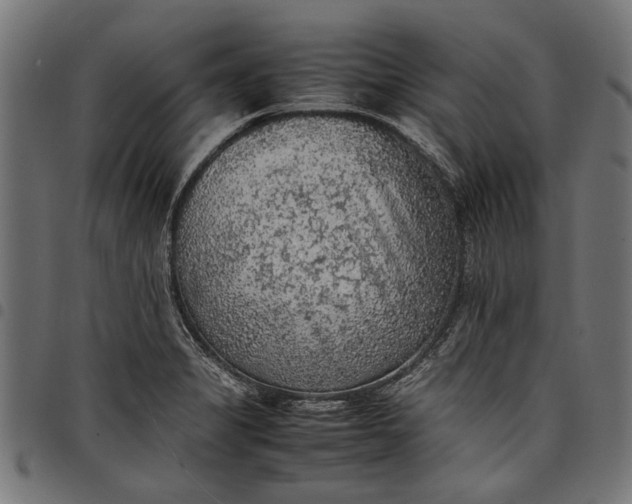 X0000097881325200803281215