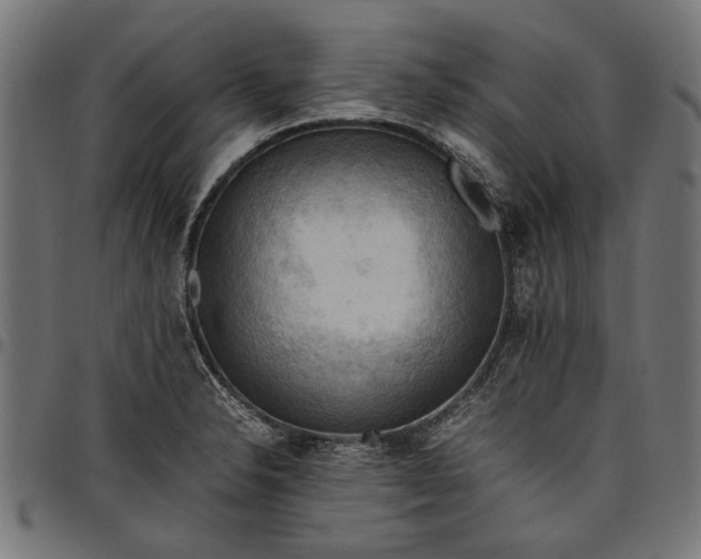 X0000097881326200803281215