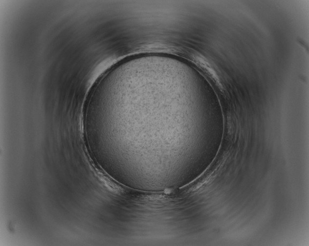 X0000097881328200803281215