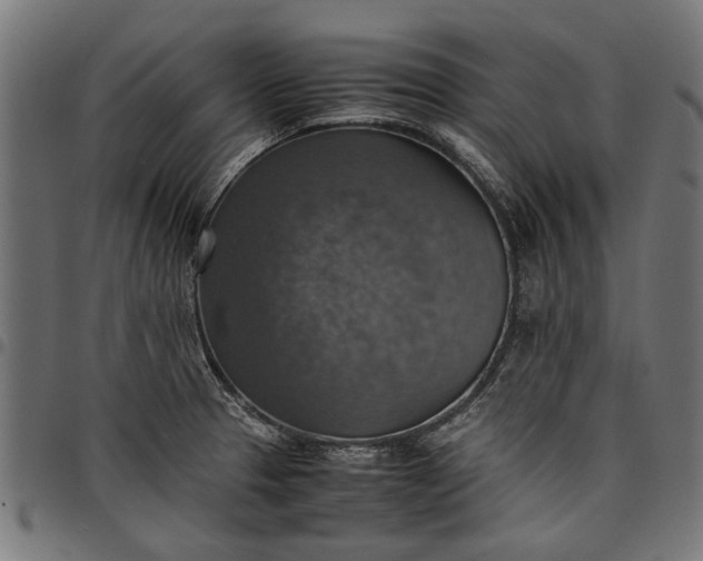 X0000097881329200803281215