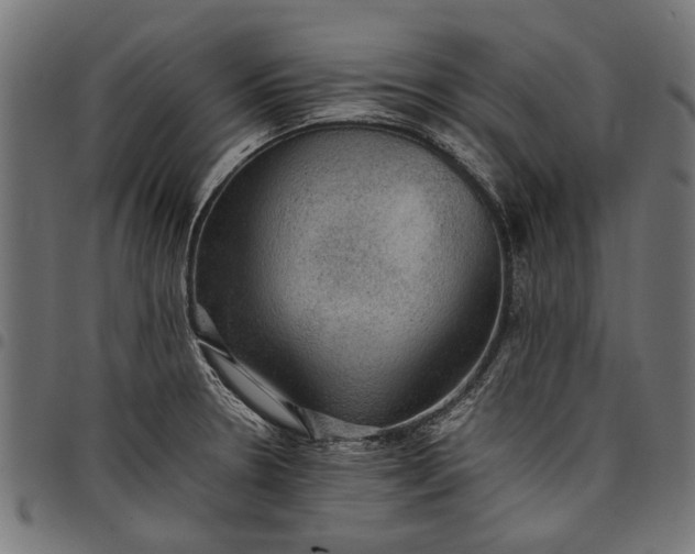 X0000097881330200803281215