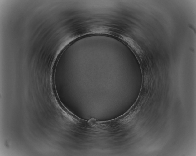 X0000097881331200803281215