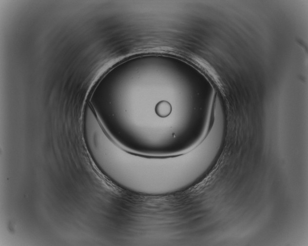 X0000097881332200803281215