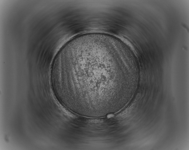 X0000097881333200803281215