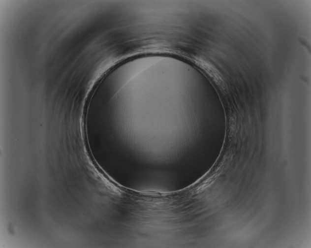 X0000097881334200803281215