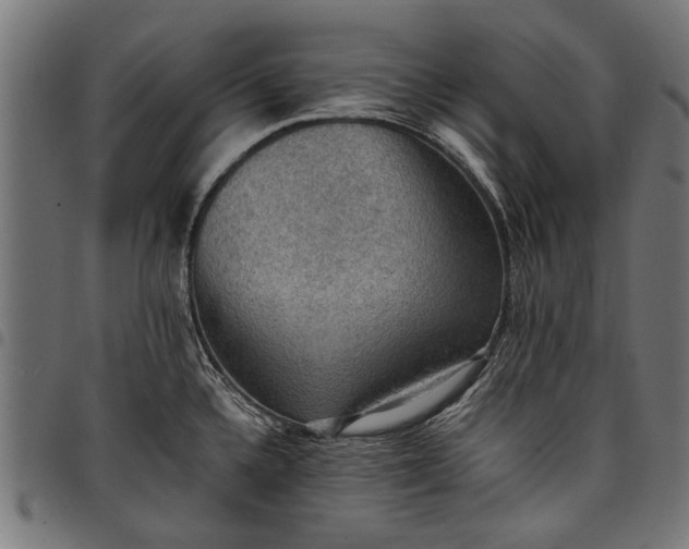 X0000097881336200803281215