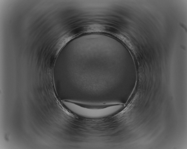 X0000097881337200803281215