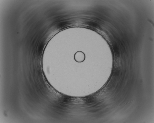 X0000097881338200803281215