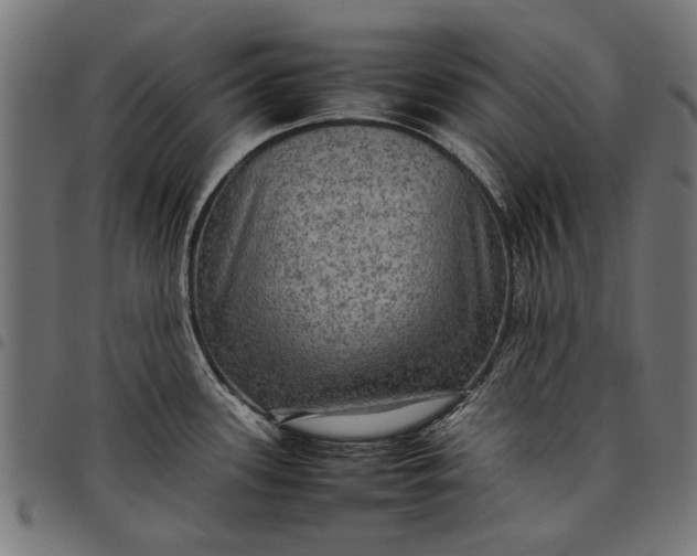 X0000097881339200803281215