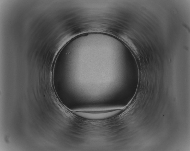 X0000097881340200803281215