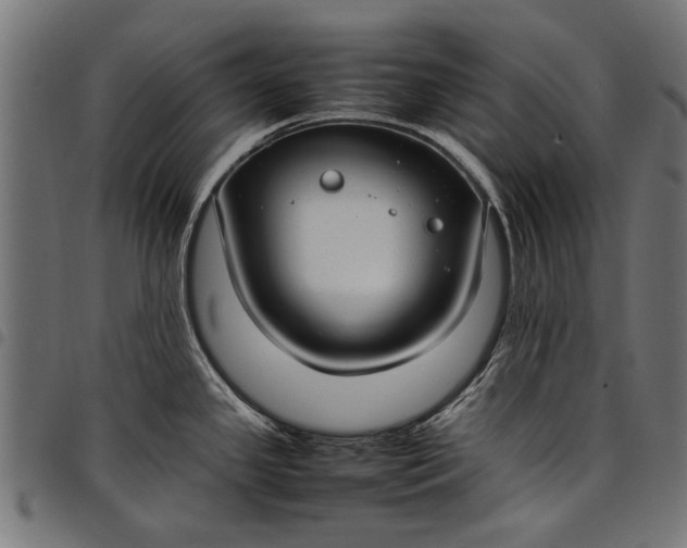 X0000097881341200803281215