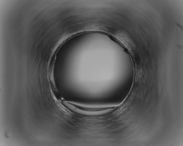 X0000097881342200803281215