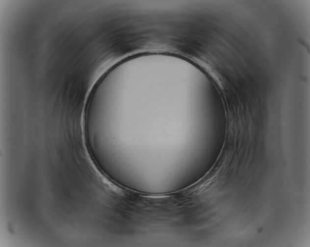 X0000097881343200803281215