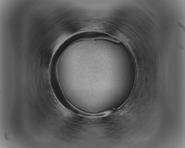 X0000097881344200803281215