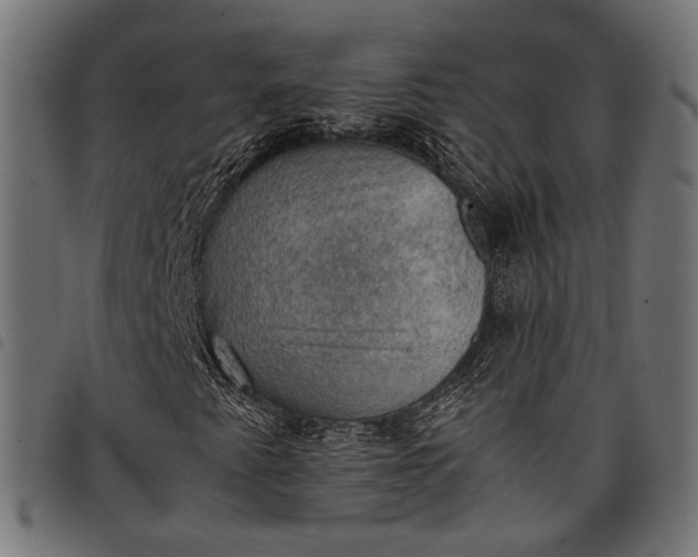 X0000097881345200803281214