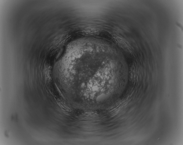 X0000097881346200803281214