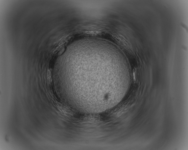 X0000097881347200803281214