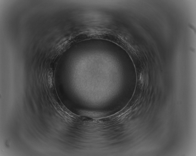 X0000097881348200803281214