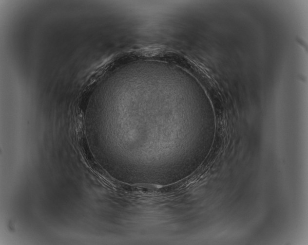 X0000097881349200803281214