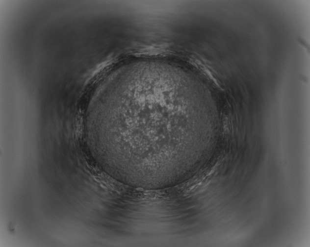 X0000097881350200803281214