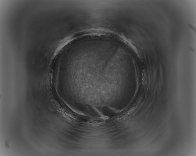 X0000097881352200803281214