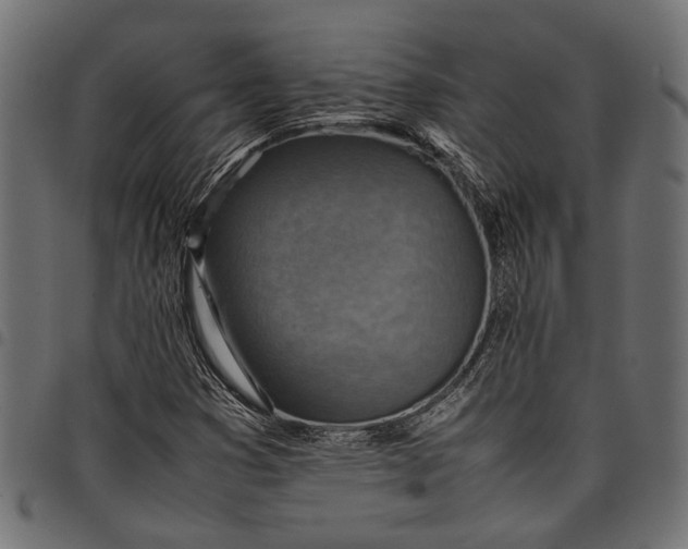 X0000097881353200803281214